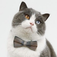 네오바트 버리 체크 강아지 고양이 반려동물 보타이 넥타이, 그레이체크, 1개, 나비넥타이