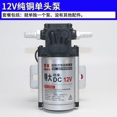 12V單頭泵+2米油管+3米夾子 汽車抽油機, 1個, 12V純銅單頭泵
