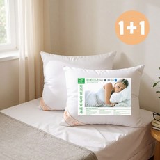 포그니 국내생산 굿나잇 기능성 항균 지퍼형 베개솜 40x60, 화이트, 2개
