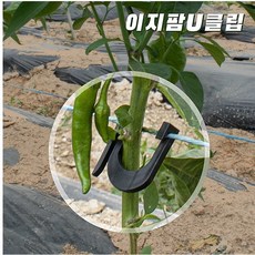 고추U클립 고추집게 고정 유인줄 예인선 이지팜, 200개