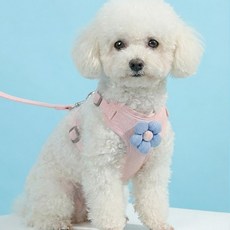 해피펫밀리 데이지 하네스 리드줄 세트, 핑크, 1개