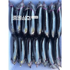 국내산 못난이 가지 1kg 5kg 10kg 중도매인 당일경매, 1개, 못난이 가지(1kg)