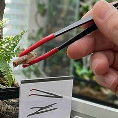 테라리움 안전집게 피딩툴 27cm 연질핸드툴, 블랙일자