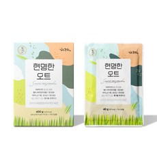 남도농산 현명한오트 귀리쉐이크 국산 단백질쉐이크 아침대용, 40g, 20개