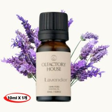 올팩토리하우스 천연 유기농 에센셜오일 후각훈련, 라벤더(숙면/안정), 1개