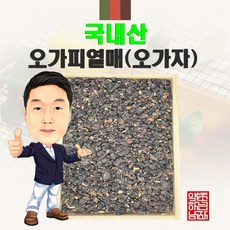 오가피열매 오가자 300g 국내산, 1개