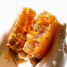 사랑벌꿀 천연 벌집꿀 토핑 벌꿀집, 2개, 500g