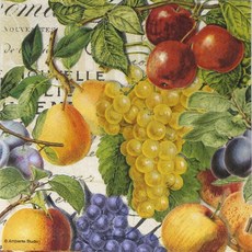 풍성한 과일 냅킨 5장 K-02-045