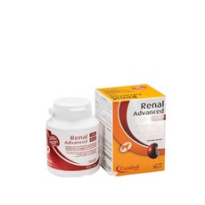 레날 어드밴스드 독스 신부전 영양제 강아지 70g, 1세트, 신장