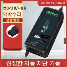 전기 자전거 배터리 충전기 범용 충전 지능형 자동 전원 끄기, 지능형자동전원끄기60V28/32AH범용3구멍