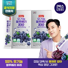일동후디스 유기농 블루베리퓨레 2박스, 280g