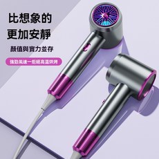 Hair Dryer, 灰紫, 1個