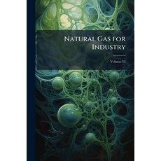 (영문도서)Natural Gas for Industry; Volume 15 Paperback, Nabu Press, English, 9781145131637