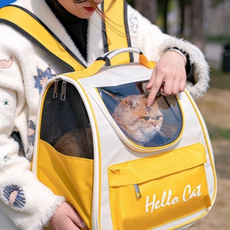 반려동물 캐리어 펫 이동가방 강아지 고양이 휴대가방 휴대용 펫백 이동장 산책 외출 가방, 단일옵션