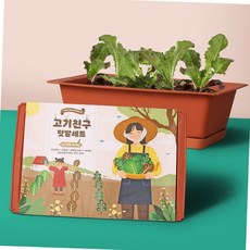 베란다 텃밭 고기친구 쌈채소 키우기 화분 식물재배 세트 텃밭가꾸기 상추키우기, 1세트