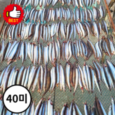 올바른농장 급냉직송 국내산 남해안 반건조 양미리, 1세트, 40