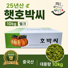 25년산 햇 호박씨 대용량 벌크 10kg