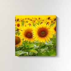 해바라기액자 해바라기그림 풍수액자 돈들어오는그림 가게개업선물 집들이선물, 복이술술 해바라기, 골드