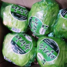 [산지직송]국내산 산지직송 양상추 6통 포장 샐러드 매장사용 최적화 개별포장 식자재 샐러드채소 신선한야채 햄버거양상추 샌드위치양상추 샐러드양상추 포장양상추 업소용, 6개, 6~8kg(전체무게), 8kg