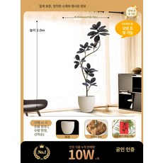 세련된 흑금강 바이오닉 대형 인테리어 고무나무 실내 식물, 2.0m 블랙킹+얼룩