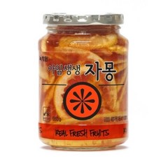 녹차원 아임생생 자몽 550g 녹차/홍차/아이스티/코코아, 2개