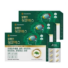 대웅생명과학 혈행엔 징코맥스 은행잎 추출물 혈행 기억력 개선에 도움을 줄수 있음, 120정, 3개