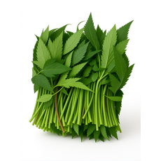 야채왕 당귀 1kg 1개
