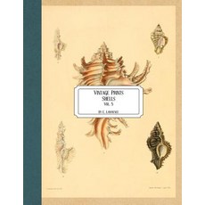 (영문도서) Vintage Prints: Shells: Vol. 5 Paperback, Createspace Independent Pub..., English, 9781727185706