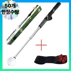 루엔 골프 스윙연습기 실내 스윙트레이너 + 치킨윙 교정 암밴드 세트, 1개, 블랙