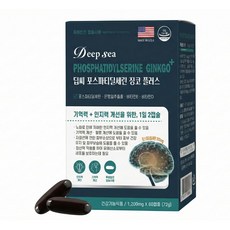 딥씨 미국산 포스파티딜세린 징코 플러스 뇌영양제, 3개, 60정