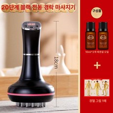 고주파 기 팅 진동 마사지기 통증완화 심부열, 20단 10ml 2병, 기본 모델명/품번