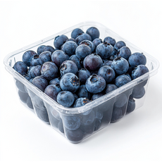 생블루베리 고당도칠레산 신선한특품베리 항공직송, 5개, 생블루베리125g(특품)