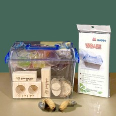 꼬마풍뎅이 장수풍뎅이 유충 세트(유충포함), 03장수유충 중형세트, 1세트