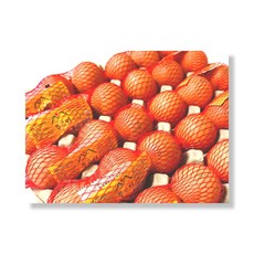 푸르뫼 구운계란 망사계란 망구운란, 3개, 30구