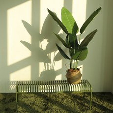 디아펠리즈 극락조 여인초 조화 나무+해초바구니, 120cm중형, 1개