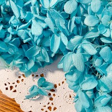 VITO zakka 木繡球永生花DIY乾燥花植物浮游花材花藝材料包拍攝道具DIY創作花材20g, 晴空(淺藍)(現貨)