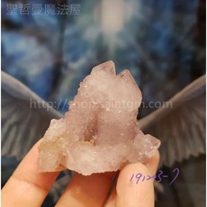 聖哲曼魔法屋 仙人掌水晶 (Cactus Quartz), 1個, 191203-7