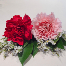 쁘미네꽃 카네이션 생화 핸드메이드 코사지 자석 부착식, 1개, 핑크+핑크 세트