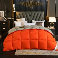 겨울 엑스트라 두꺼운 퀼트 플러스 플리스 5kg 두께 매우 따뜻한 코랄 양모 담요 수석 플러시 이불 커버, 03 Color-4