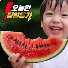 [이번주특가] 농장직송 고당도 꿀 수박, 1개, 4kg