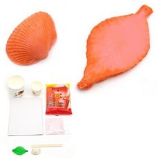 5인세트 나뭇잎 조개화석 과학실험 화석만들기 도구 수업 관찰 실습