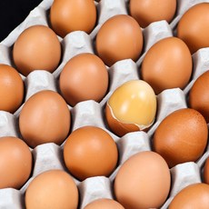 [맛짱푸드몰] 신선한 쫄깃쫄깃 구운 계란 구운란 대란, 1개, 30구