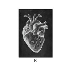 인간의 해부학 포스터, A3 30x42cm 프레임 없음, NQ321K