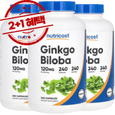 뉴트리코스트 징코 빌로바 120mg 240정, 3개