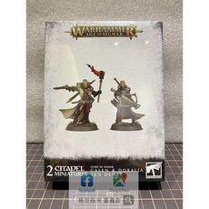 Warhammer AOS 戰鎚 西格瑪加倫&多拉莉亞 鄧斯特模型, 1個
