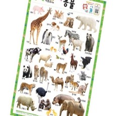 돈스텔 재미있는 사운드벽보 룰루랄라 동물