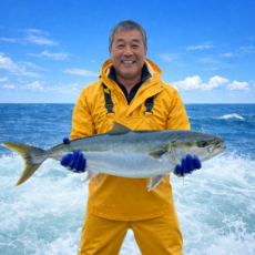 [최대14kg 특대방어] 동해안 자연산 대방어 방어회 필렛 당일손질, 1개, 500g