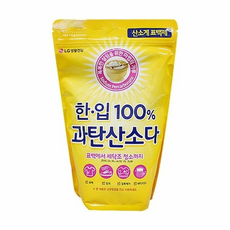 LG생활건강 한입100프로 과탄산소다 표백 세탁조 (W4B4F10), 1개, 1정, 1kg