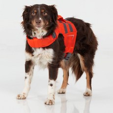 NRS 狗狗救生衣 CFD Dog Life Jacket，鮮豔色彩設計增加水中可見度，確保狗狗安全, 1個, 藍