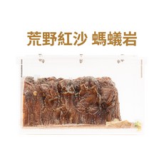 螞蟻帝國 荒野紅沙 螞蟻岩 雙面石膏巢 中型 蟻窩, 1個